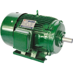NEMA premium efficiency motor